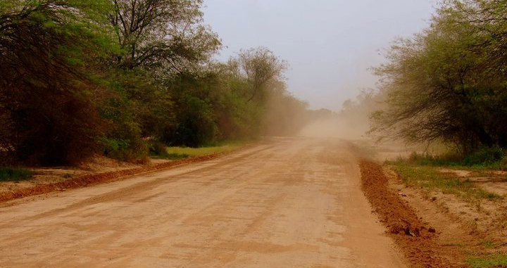 Camino